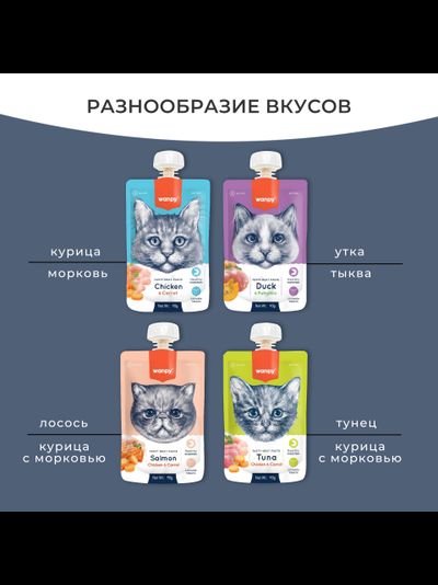 Wanpy Cat (Ванпи кэт) Лакомство для кошек Мясной мусс из курицы и моркови, 90 г