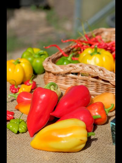 Перец сладкий Испанский Рико, 10 шт