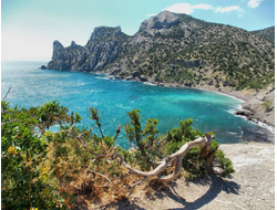 ТУРЫ В КРЫМ