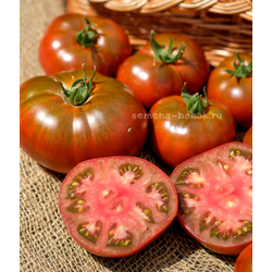 Томат Ярсон 16 (Jarson 16), 10 шт