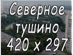 420х297