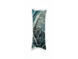 Дакимакуры год Тигра