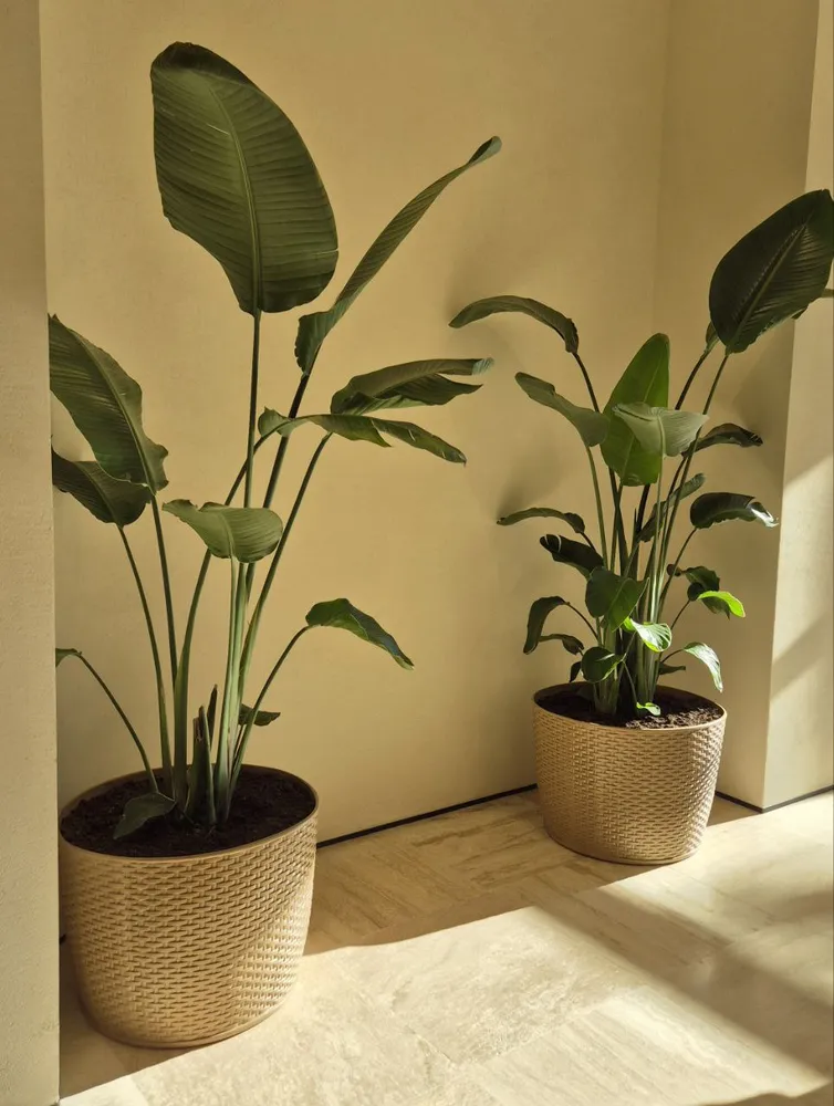 Производство кашпо из стеклопластика