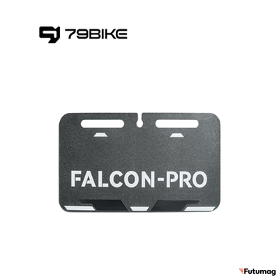 Задний номерной знак для 79Bike