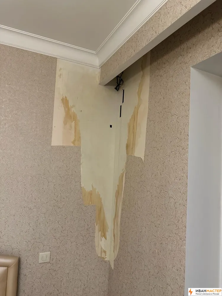 Удаление плесени в квартире