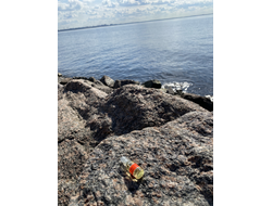 Масло НОТА: ЖЕНСКИЕ ОБЪЯТИЯ, 3.5 мл