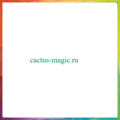 Echinocereus davisii