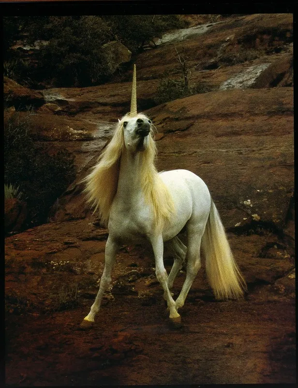 Книга-дневник "The UNICORN OF KILIMANJARO by Robert Vavra - ФОТОРЕПОРТАЖ ИЗ ВОСТОЧНОЙ АФРИКИ".
Фотография от Joseph Saccoman