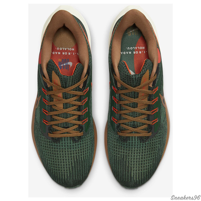 Nike Air Zoom Pegasus 39  Hola Lou Green/Brown Мужские  (41-45)