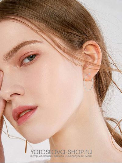 АЛ-233.  Серьги кольца сталь.