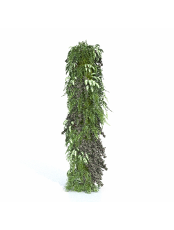 растительная стена Растительная колонна 2