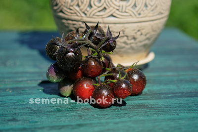 Томат Черри Смурфиника, 10 шт