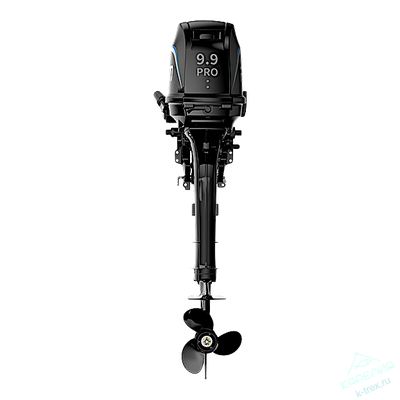 Лодочный мотор Parsun T9.9Pro BMS (18)
