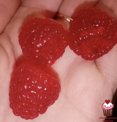 Молд Малина реалистичная, 6 шт.