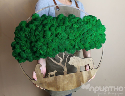 ЖИВАЯ ЭКО-КАРТИНА 1019