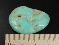 Хризопраз, полировка плоская, Австралия (34*25*5,5 мм, 8 г) №35680