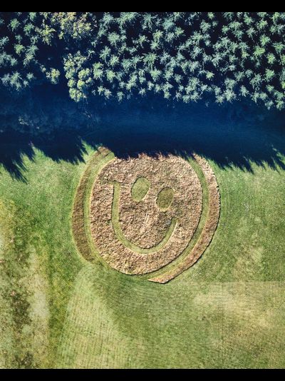 Картина обогреватель, спутниковое фото смайлика из травы на территории школы парапланеризма