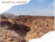 5 in 1 - DAHAB CANYON + THREE POOLS + CAMEL RIDE + DAHAB + QUAD BIKING FROM SHARM EL SHEIKH