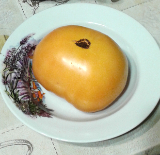 Семена томата Юко совершенная хурма