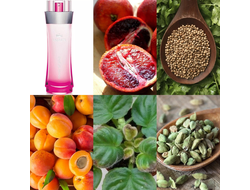 Lacoste Touch Of Pink