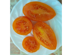 Томат Елисей