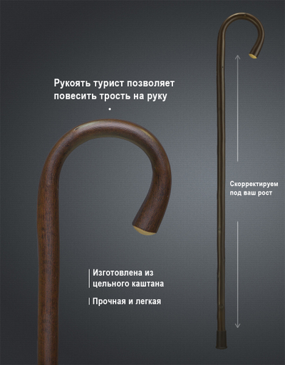 Трость из Каштана "Кёльн"