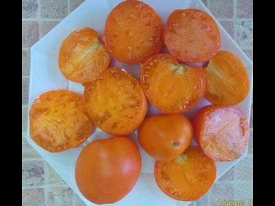 Томат Верна оранжевая