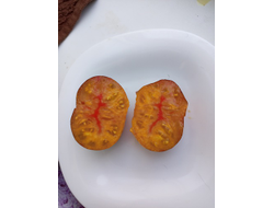 Томат Сладкая карамель Софии