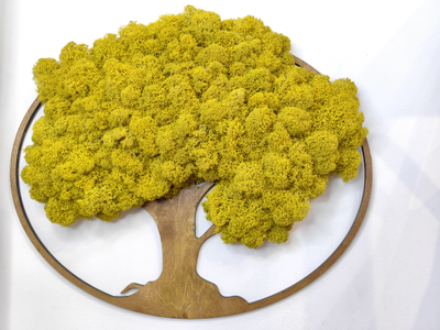 ЖИВАЯ ЭКО-КАРТИНА 1008