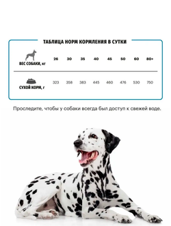 Karmy Maxi Adult (Карми Макси Эдалт) для собак крупных пород, 14 кг