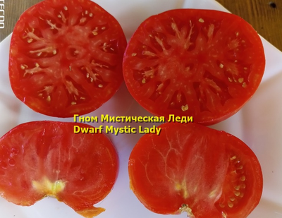 Томат Таинственная леди Dwarf Mystic Lady, Мистическая леди)