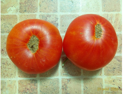 Томат Маризол золотой (Marizol Gold, Germany)