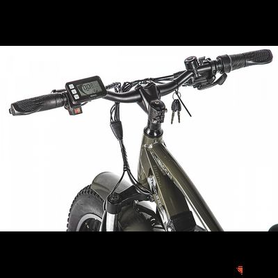 Электровелосипед VOLTECO BigCat Dual Next (Черный)