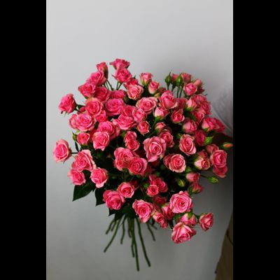 Моно букет цветов № 572