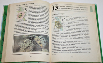 Плешаков А.А. Зеленые страницы. М.: Просвещение. 1994г.