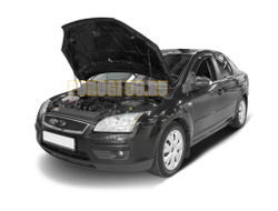 Амортизаторы капота, 2 шт. АвтоУпор для Ford Focus II 2005-2008