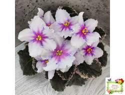 Dn-Love Time (Д. Денисенко) 2021 г.