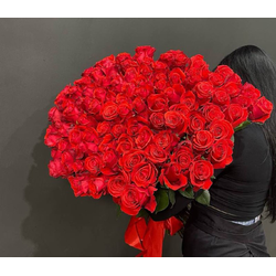 Розы Эквадор 60 см. 101