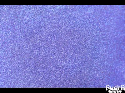 Tammy Tanuka Рассыпчатые тени для век Корсар незабудкового моря 1 мл