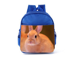 Рюкзак синий год Кролика №19