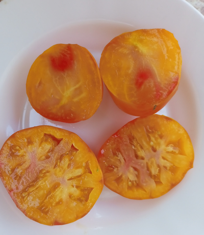 Томат Жёлто розовый жемчуг (Pearl's Yellow Pink, США)