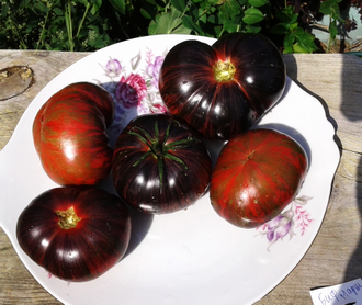 Семена томата Бифштекс Марши