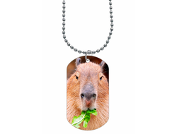 Жетон Капибара, Kapibara-san №21