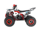 Квадроцикл WELS ATV Thunder EVO 125 фото