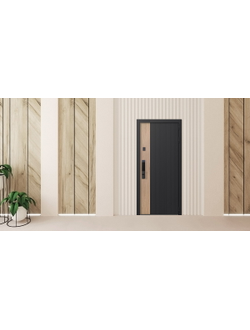 Стальная дверь   Конструктор с зеркалом (биометрический замок Smart lock Y23)