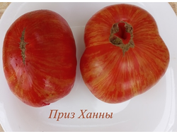Томат Гном Приз Ханны ( Dwarf Hannah’s Prize, США, Австралия)