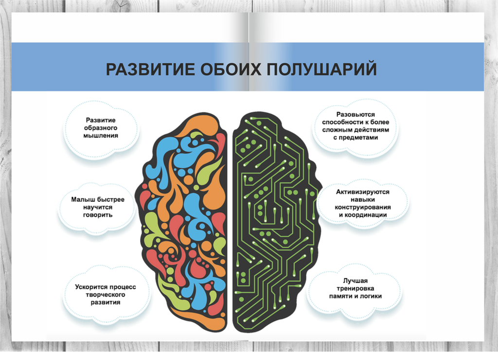 задания на развитие обоих полушарий мозга для детей. межполушарное взаимодействие у детей. занятия для развития полушарий мозга ребенку. задания на развитие двух полушарий мозга. полушария мозга для детей.