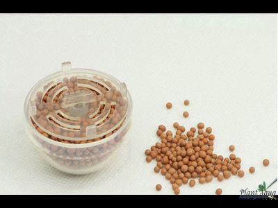 Декорация для мха Moss Ball (полусфера)