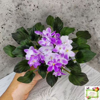 LV-Кирюша (Л. Шевелева) 2022 г. трейлер (пасынок посажен 15.08.25)