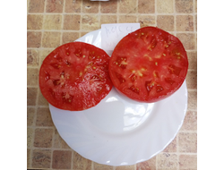 Томат Розовый из Пералеса (Rosa de Perales) Испания